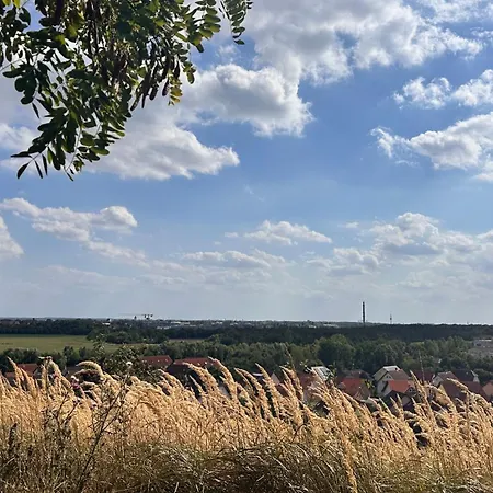Ruhige Abgelegene Grune Oase Leipzig