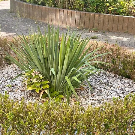 Ruhige Abgelegene Grune Oase Homestay Leipzig